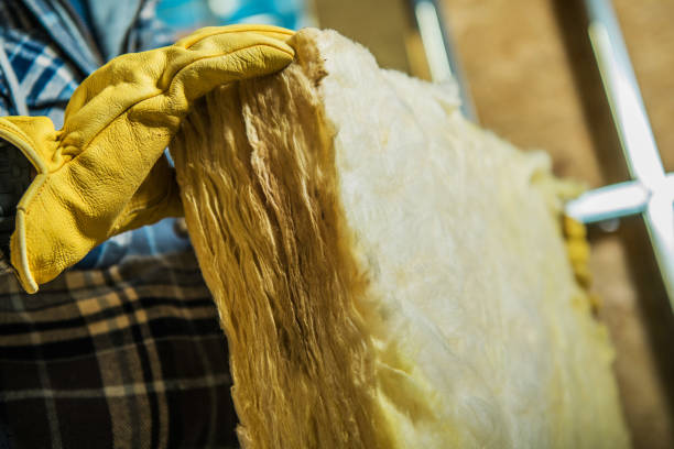 Best Residential Insulation in La Puebla, NM